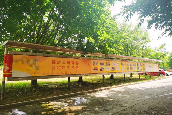 图片6